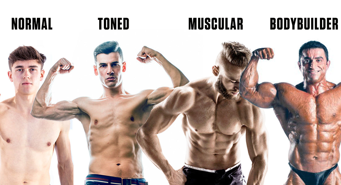 different types of muscular bodies