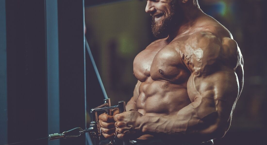An Exciting Ingredient For Putting On Lean Muscle