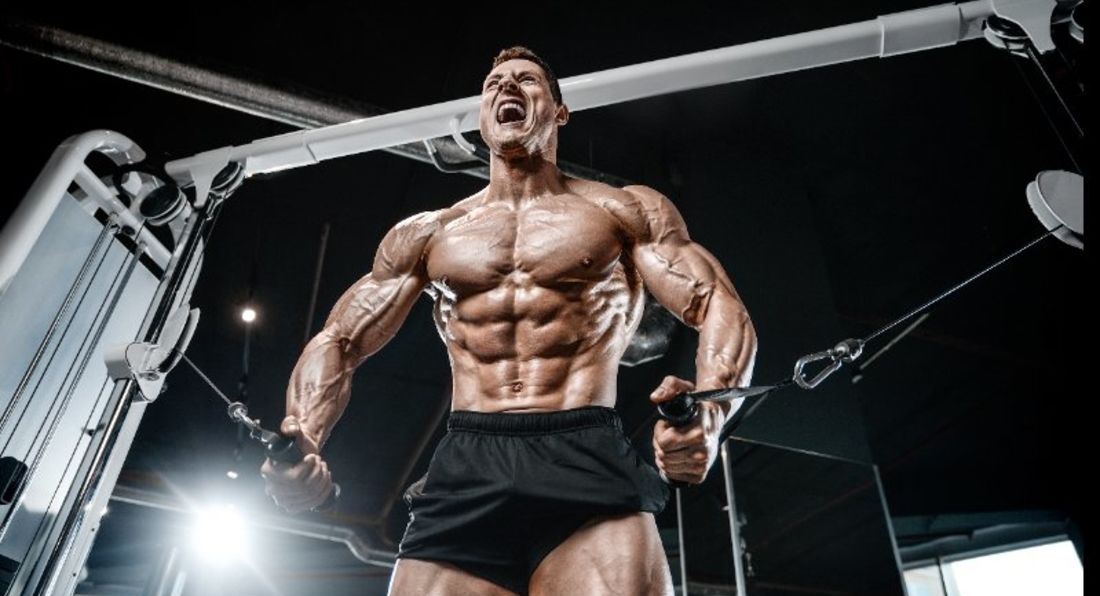Relationship Between Muscle Size And Strength