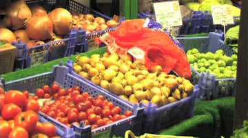 Health & Nutrition 6