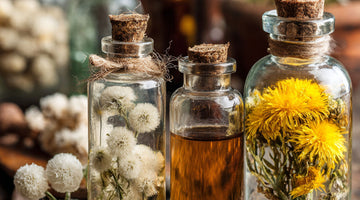 What is Homeopathy? A Scientific and Practical Guide