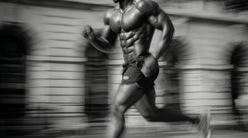 Build a Full, Respectable Chest: The Complete Guide