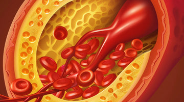 The truth about statins